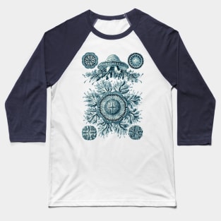 Ernst Haeckel Discomedusae Jellyfish Plate 28 Cerulean Baseball T-Shirt